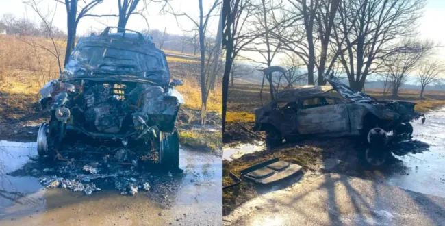 На Прикарпатті п’яний водій BMW влетів у дерево
