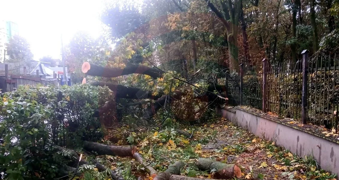Наслідки негоди