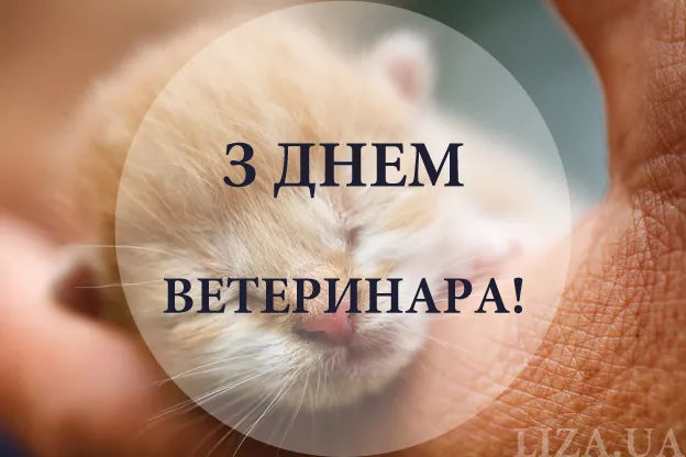 9 серпня 2026 відзначають День ветеринара: щирі привітання, картинки та листівки