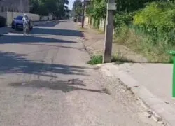 Сміттєві помиї на дорогах і двори-звалища: як «Фаун» вивозить відходи в Коломиї