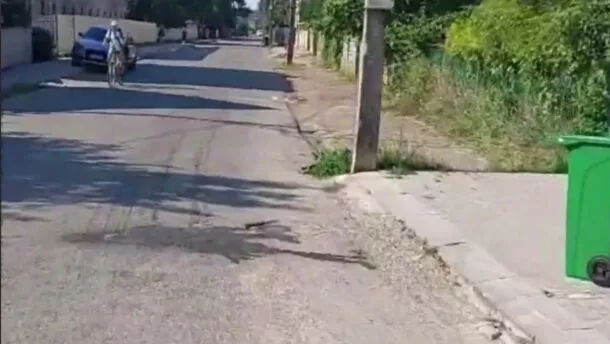Сміттєві помиї на дорогах і двори-звалища: як «Фаун» вивозить відходи в Коломиї