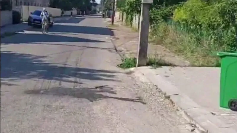 Сміттєві помиї на дорогах і двори-звалища: як «Фаун» вивозить відходи в Коломиї