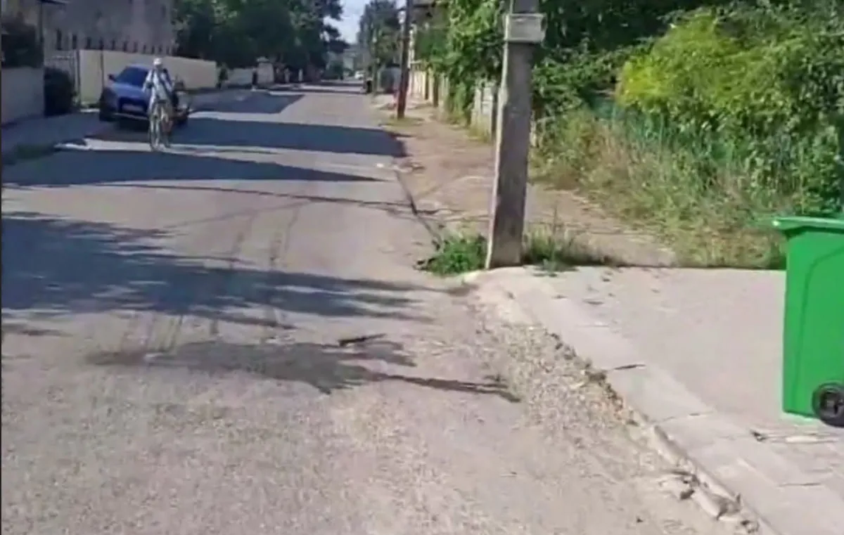 Сміттєві помиї на дорогах і двори-звалища: як «Фаун» вивозить відходи в Коломиї