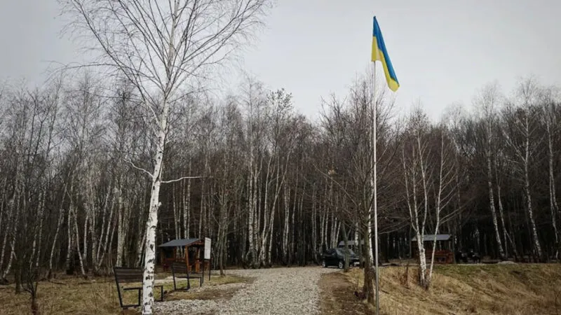 12% від оцінки як стартова ставка: на Коломийщині виставлять на аукціон 6 гектарів землі