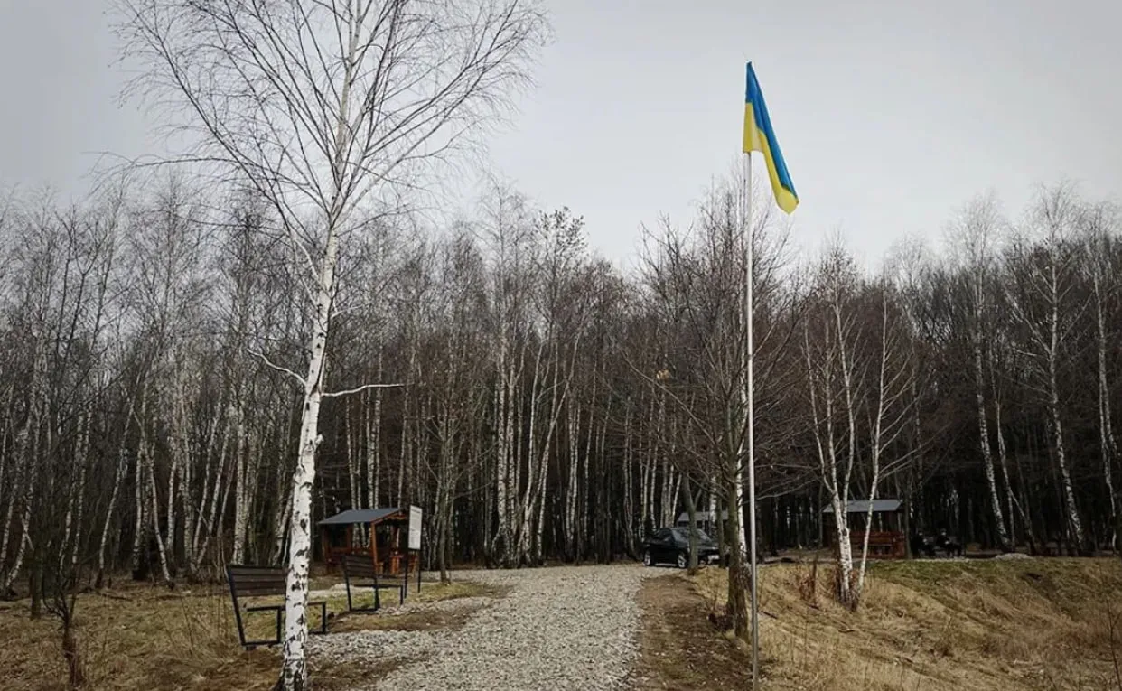 12% від оцінки як стартова ставка: на Коломийщині виставлять на аукціон 6 гектарів землі