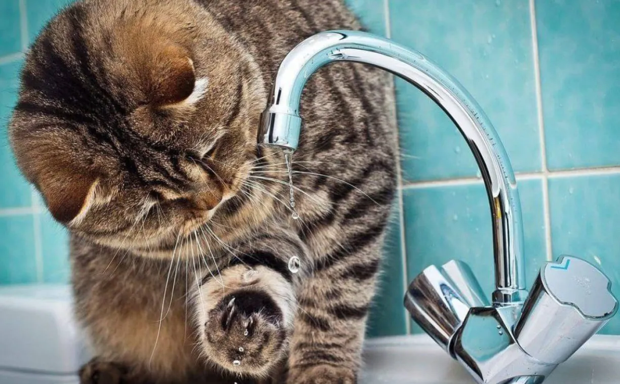 З 9 до 16 без води: у Коломиї ремонтуватимуть водогін